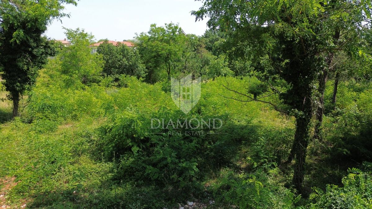 Labin, dintorni, ampio terreno edificabile