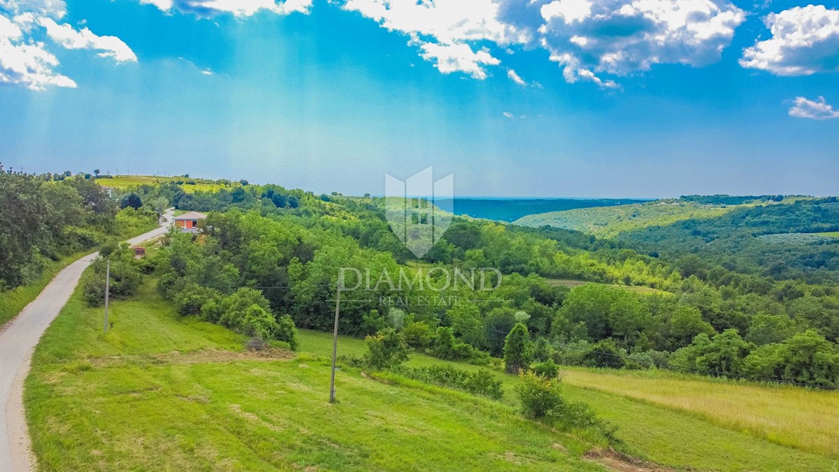 Opportunità Grisignana, dintorni! Terreno con una bellissima vista sul mare!