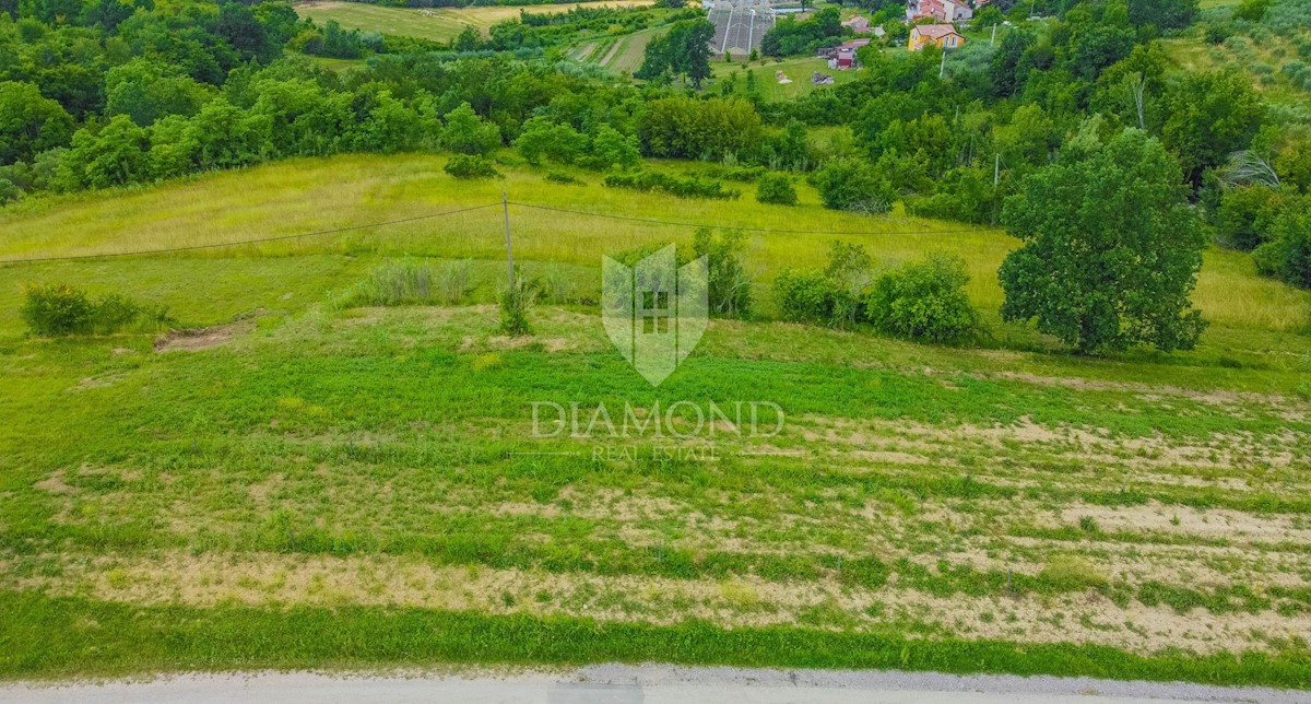 Opportunità Grisignana, dintorni! Terreno con una bellissima vista sul mare!