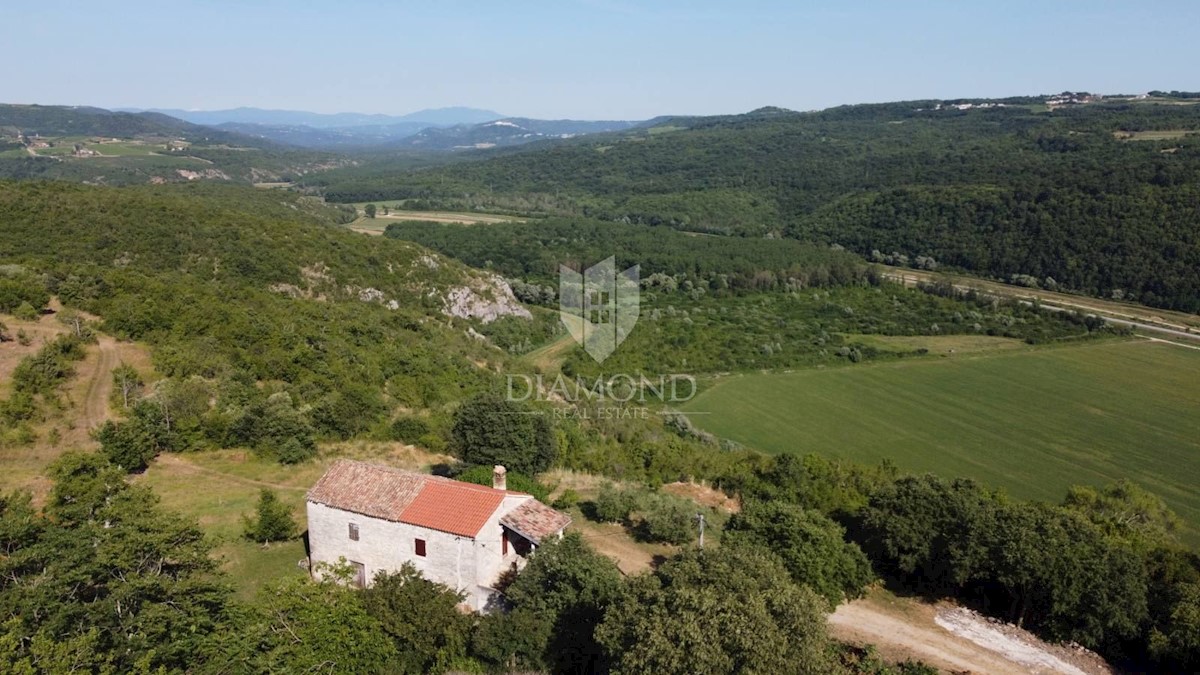 Grisignana, dintorni! Tenuta con un grande appezzamento di terreno!