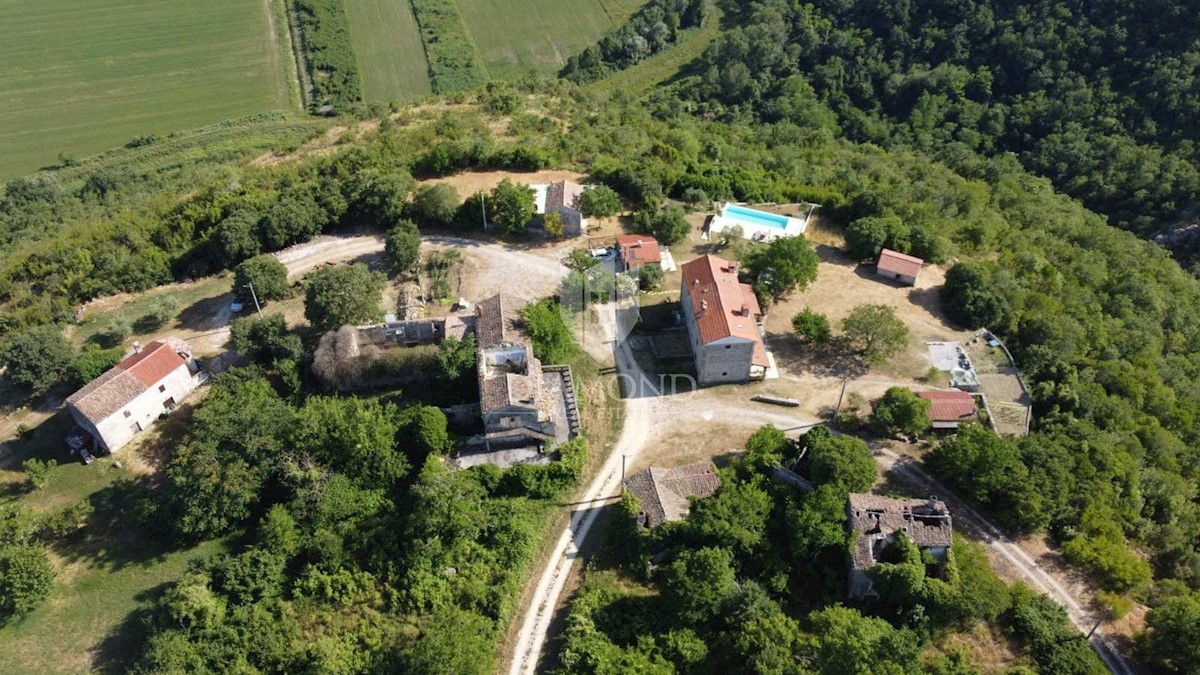 Grisignana, dintorni! Tenuta con un grande appezzamento di terreno!