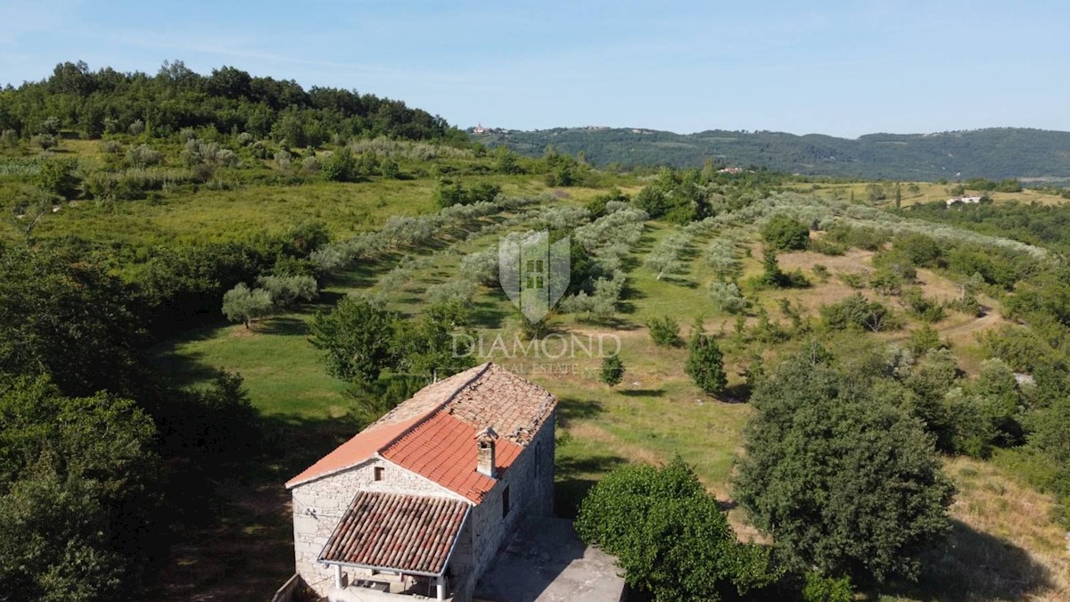 Grisignana, dintorni! Tenuta con un grande appezzamento di terreno!