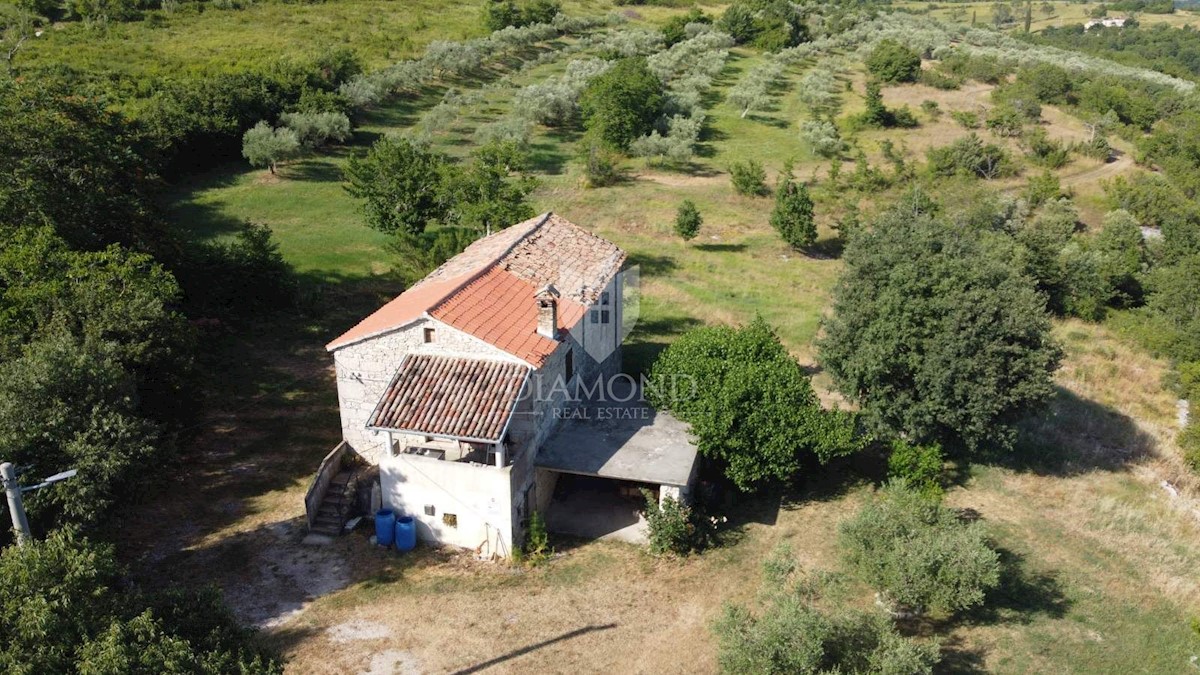 Grisignana, dintorni! Tenuta con un grande appezzamento di terreno!