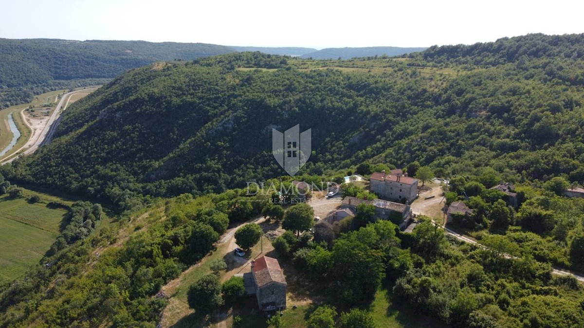 Grisignana, dintorni! Tenuta con un grande appezzamento di terreno!