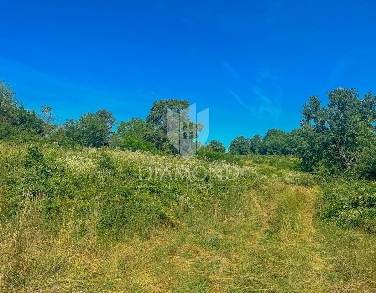 Zona Montona, terreno in posizione tranquilla