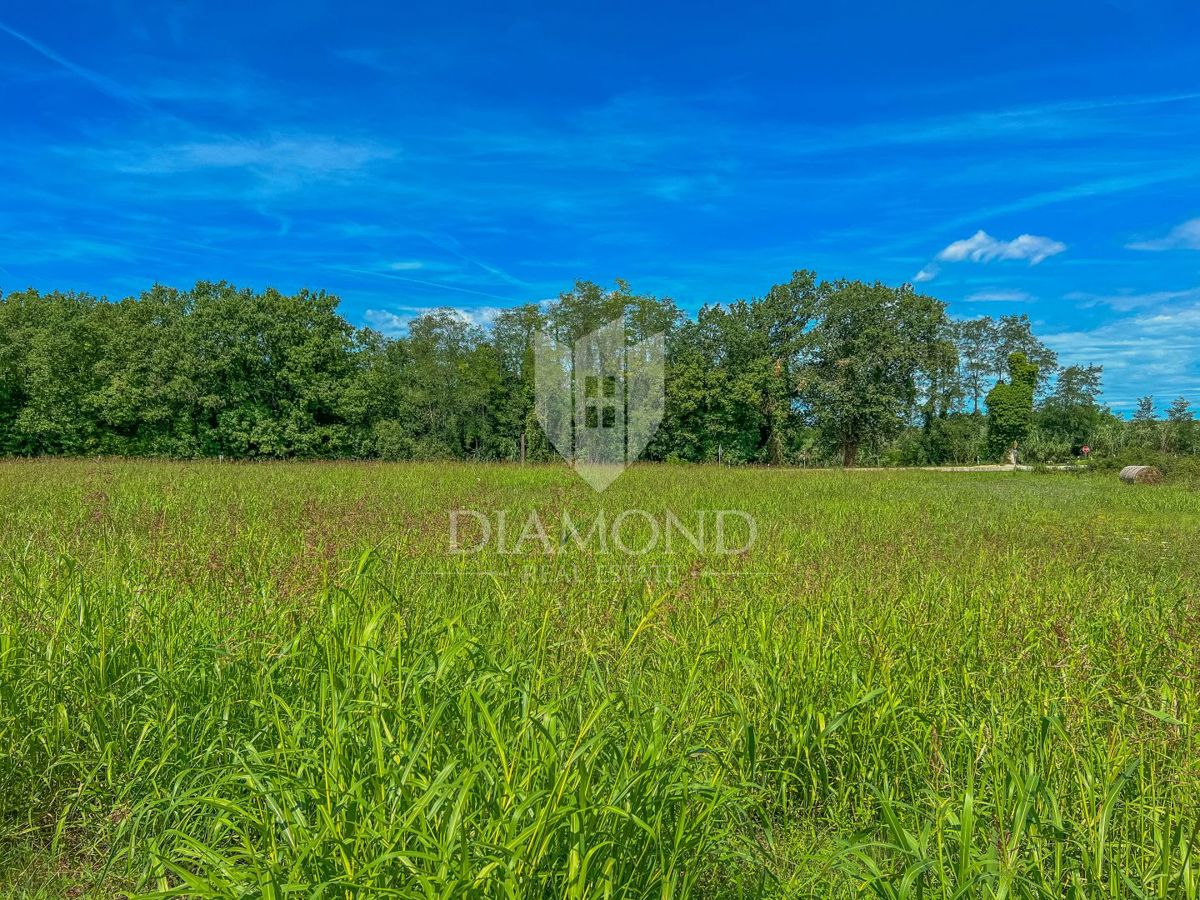 Zona Cittanova, ampio terreno edificabile con potenziale di investimento