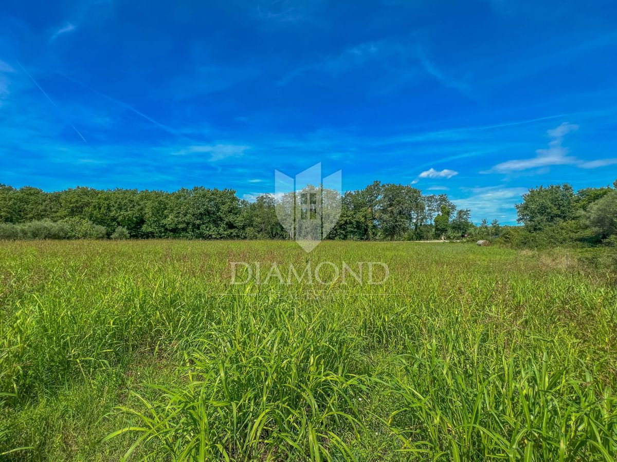 Zona Cittanova, ampio terreno edificabile con potenziale di investimento