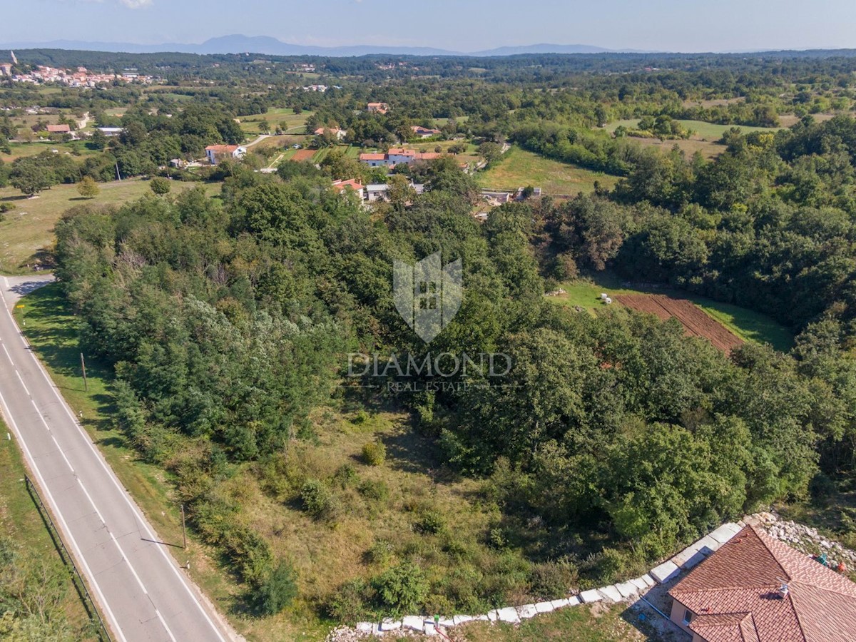 Gimino, ampio terreno edificabile non lontano dal centro