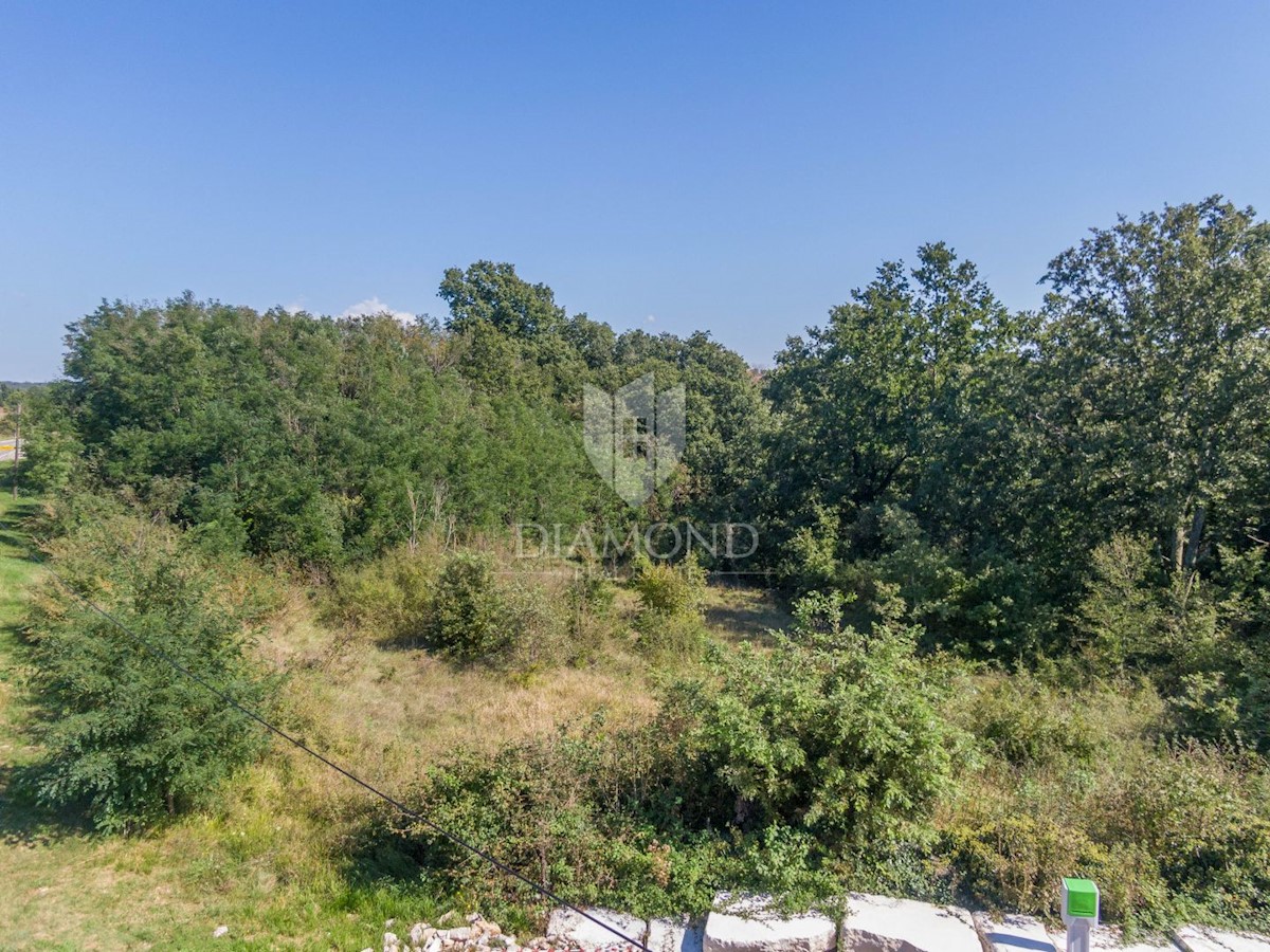 Gimino, ampio terreno edificabile non lontano dal centro