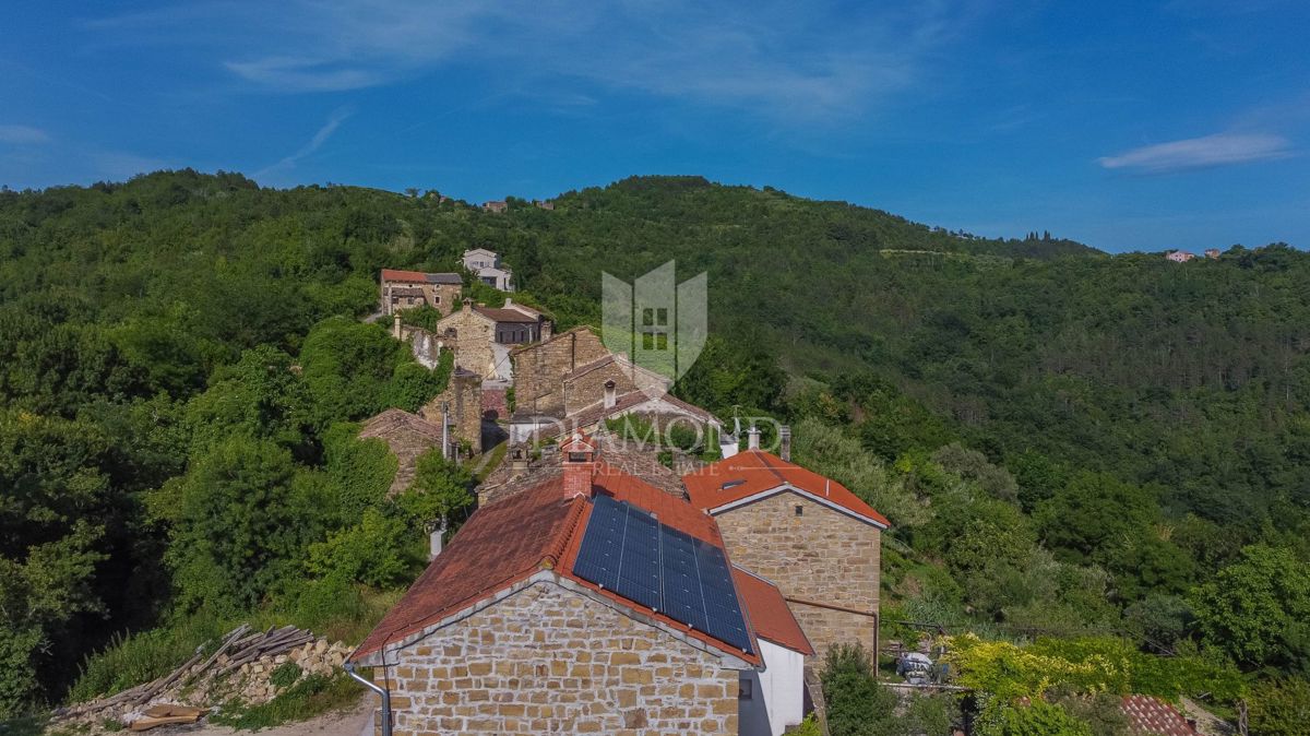 Motovun, Casa in pietra con vista panoramica su Montona!