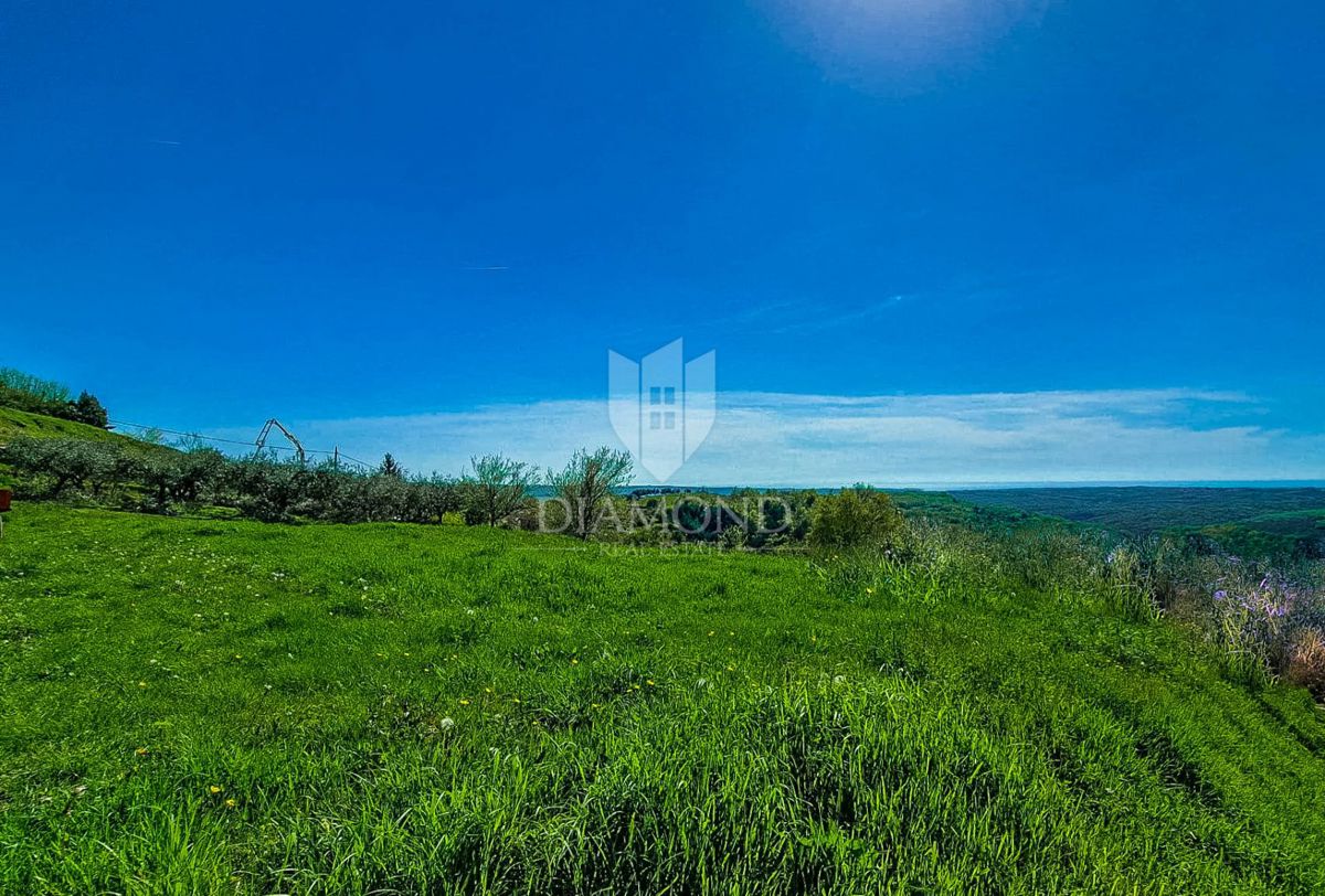 Terreno Krasica, Buje, 754m2