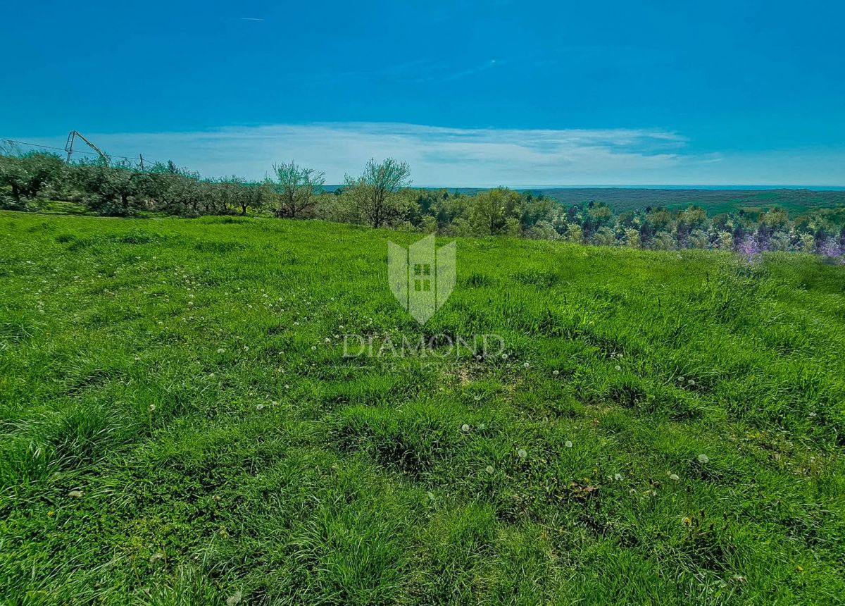 Terreno Krasica, Buje, 754m2