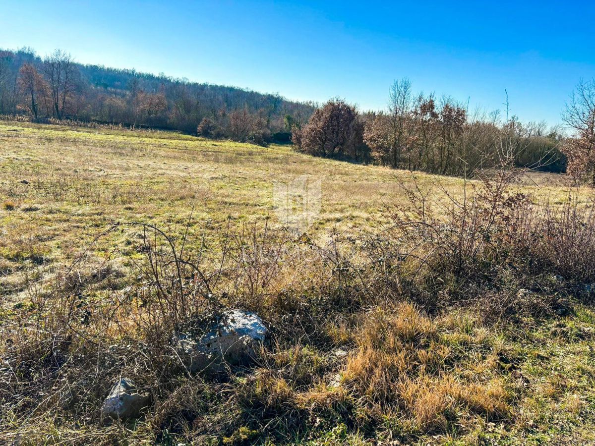 Parenzo, dintorni, terreno edificabile in un posto tranquillo!