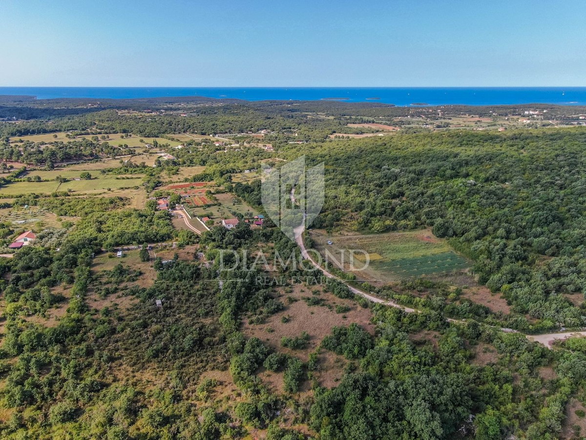 Rovigno, dintorni, ampio terreno con appezzamento di terreno