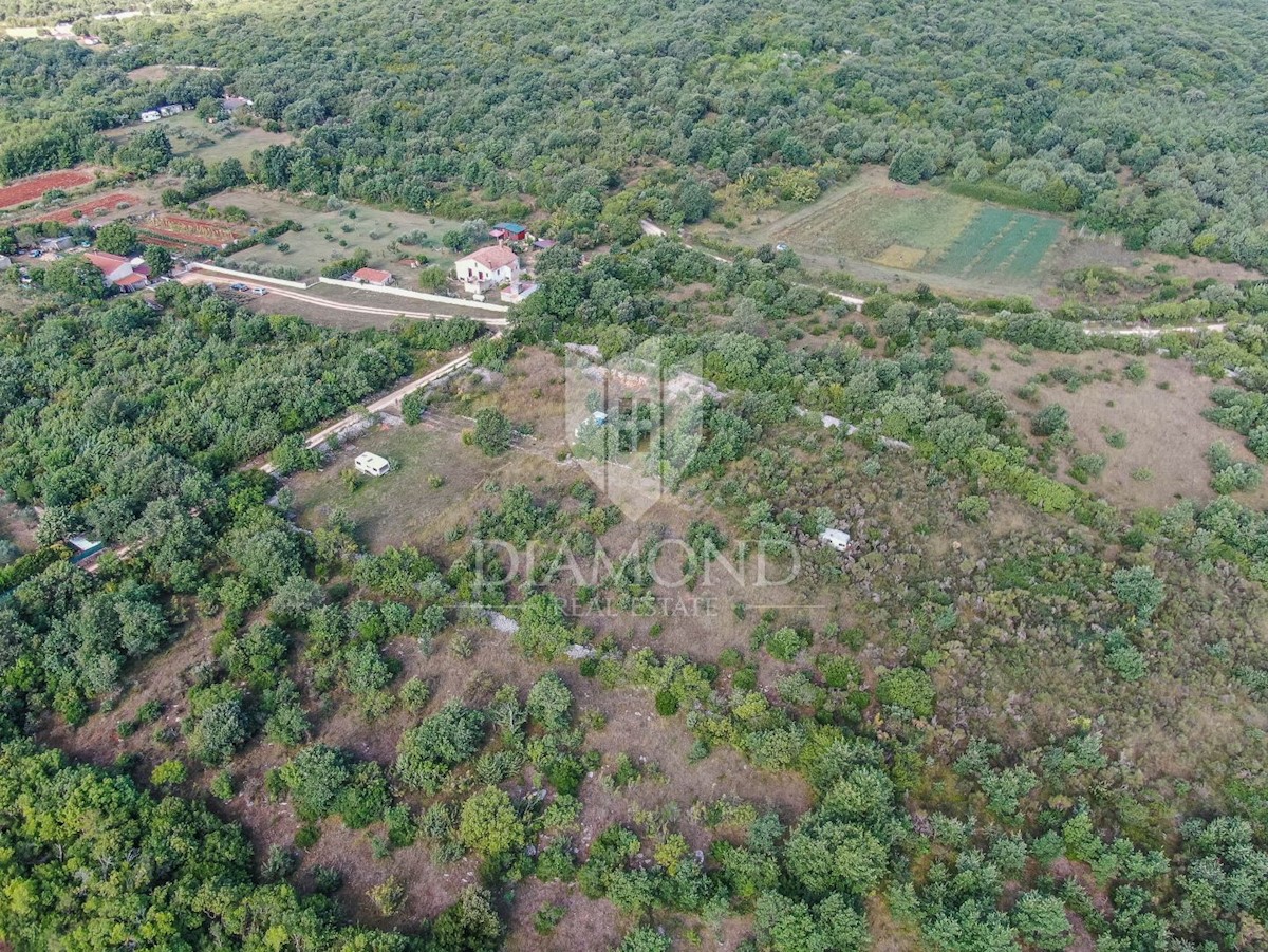 Rovigno, dintorni, ampio terreno con appezzamento di terreno