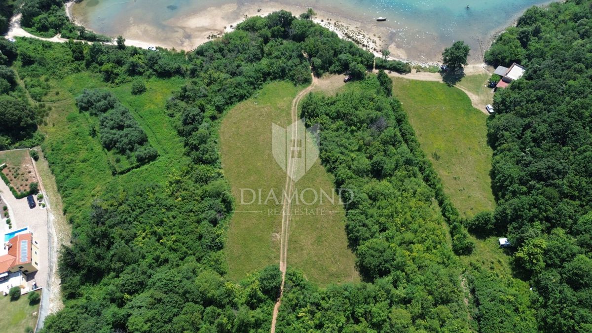 Albona, dintorni, terreno agricolo, 1a fila al mare