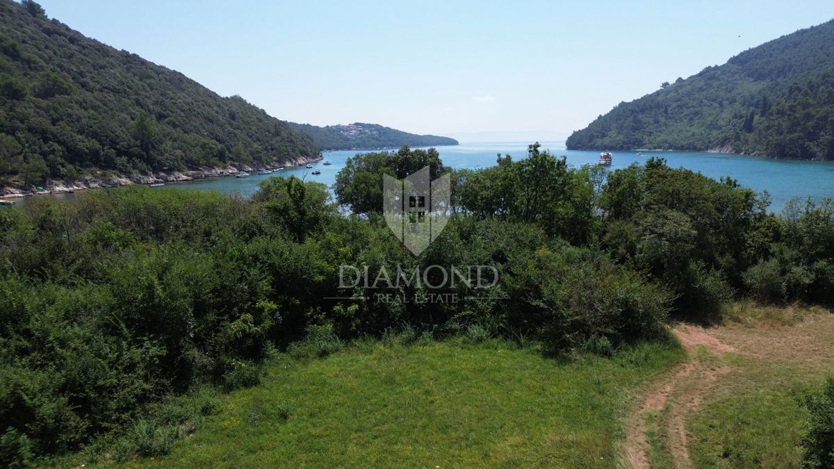 Albona, dintorni, terreno agricolo, 1a fila al mare