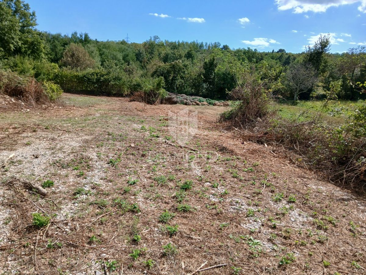 Dintorni di Albona, terreno edificabile con progetto