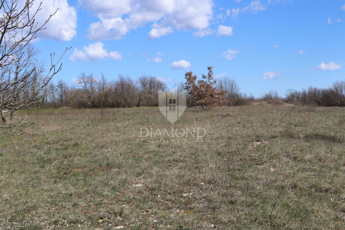 Svetvinčenat, terreno edificabile in una posizione tranquilla 