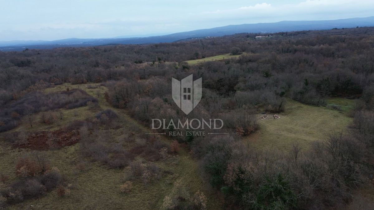 Terreno di grandi dimensioni con permesso di costruire