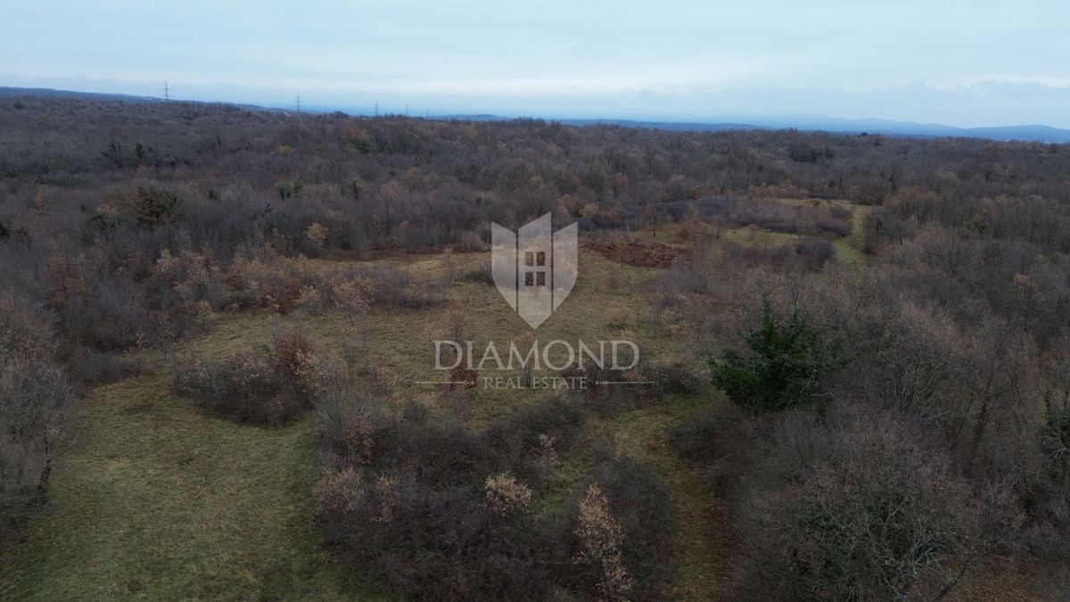 Terreno di grandi dimensioni con permesso di costruire