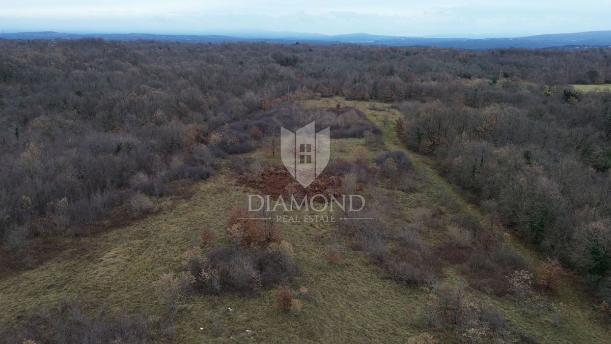 Terreno di grandi dimensioni con permesso di costruire