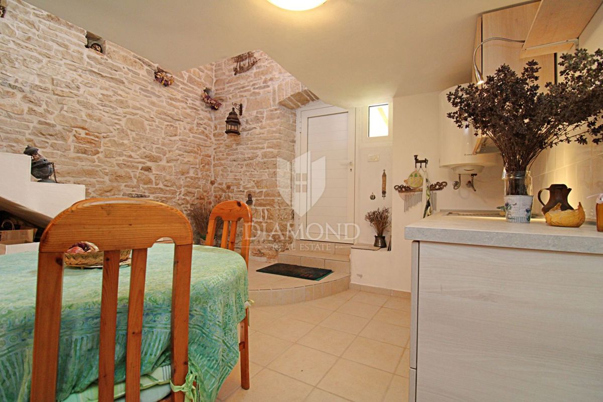 Labin, dintorni, casa molto speciale vicino al mare