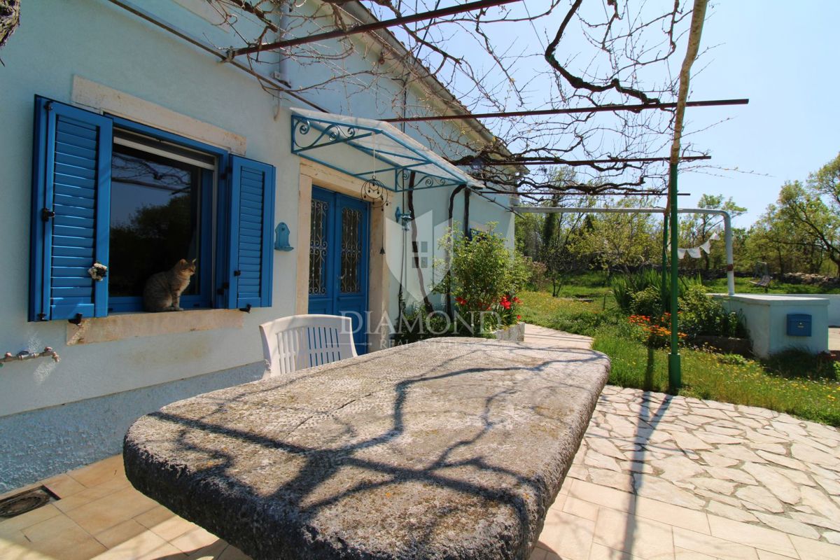 Labin, dintorni, casa molto speciale vicino al mare