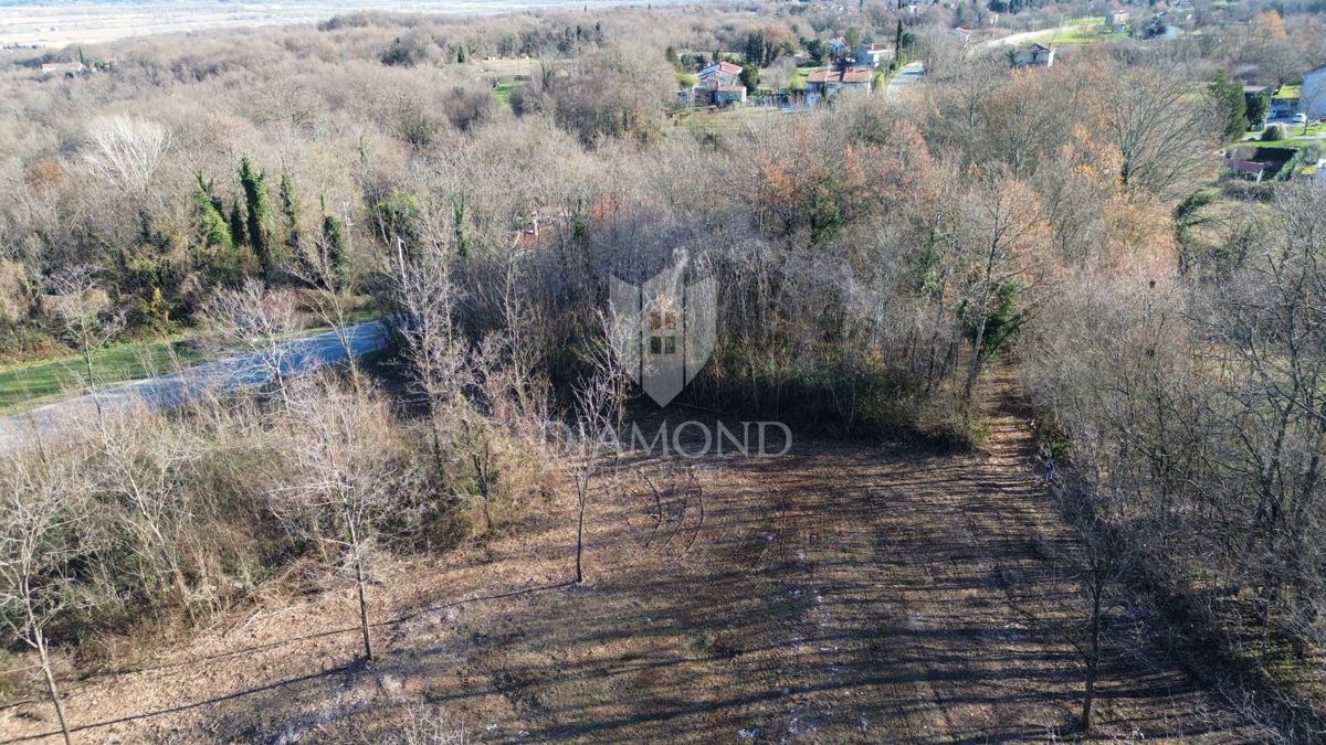 Ottima proprietà con permesso di costruire