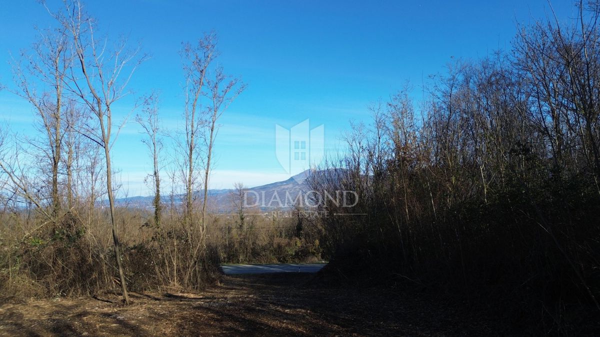 Ottima proprietà con permesso di costruire