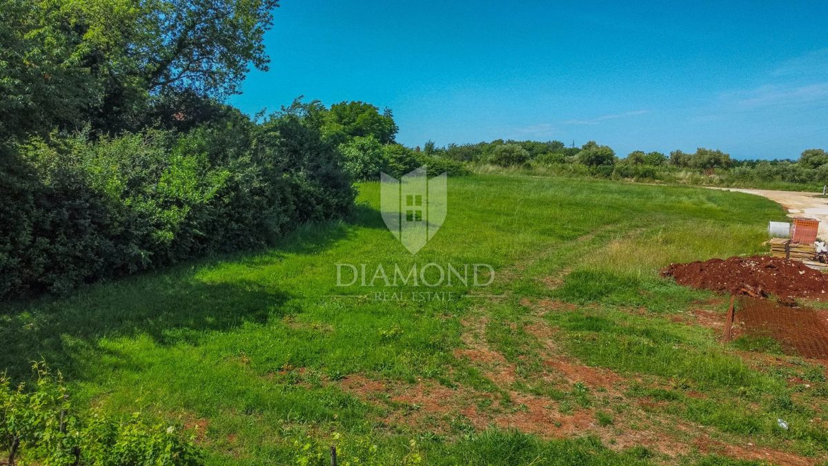 Verteneglio, dintorni, terreno edificabile di 619 m2 in un villaggio tranquillo