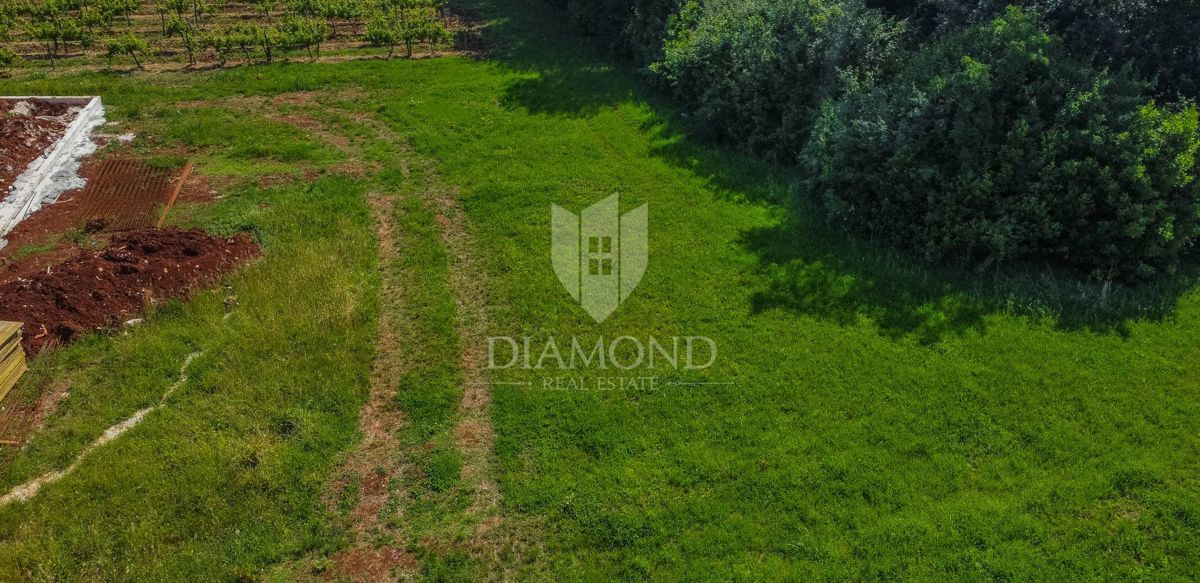 Verteneglio, dintorni, terreno edificabile di 619 m2 in un villaggio tranquillo