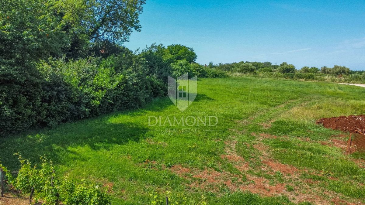 Verteneglio, dintorni, terreno edificabile di 619 m2 in un villaggio tranquillo