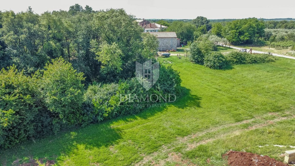 Verteneglio, dintorni, terreno edificabile di 619 m2 in un villaggio tranquillo