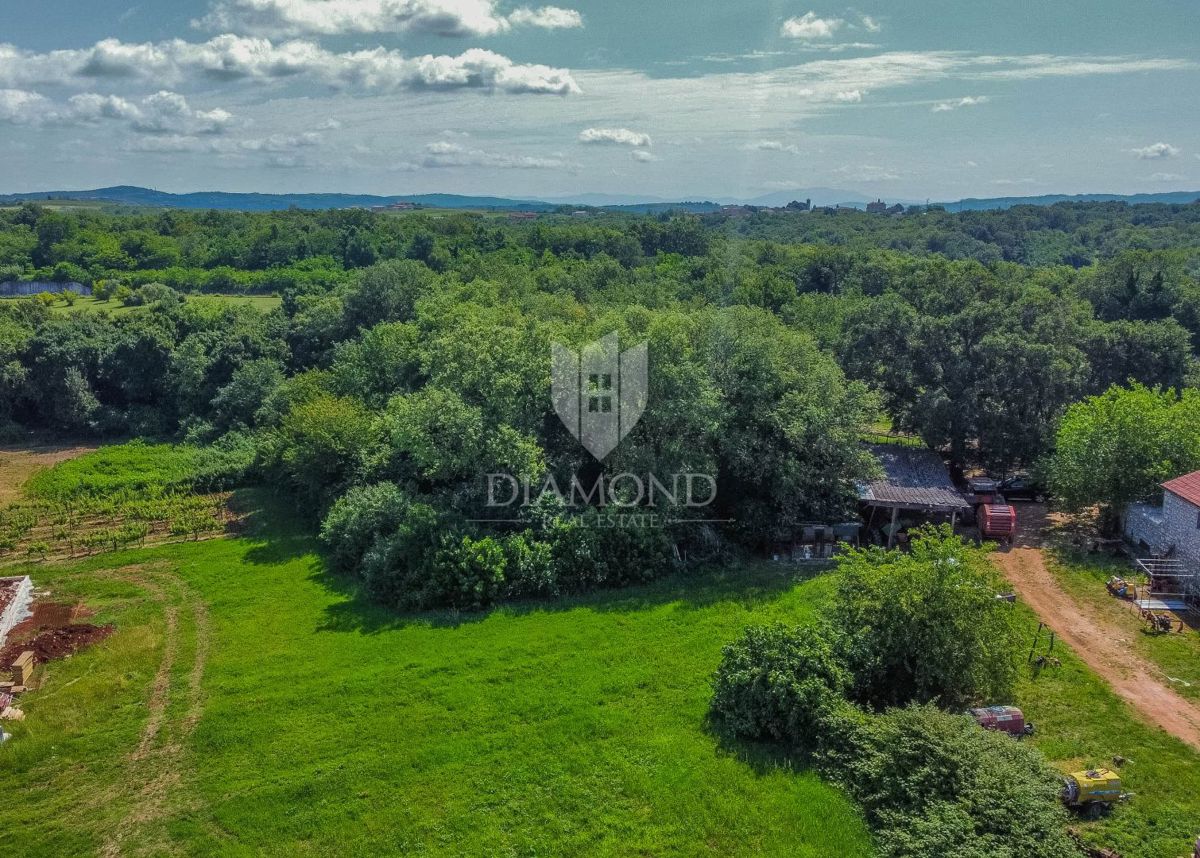 Verteneglio, dintorni, terreno edificabile di 619 m2 in un villaggio tranquillo