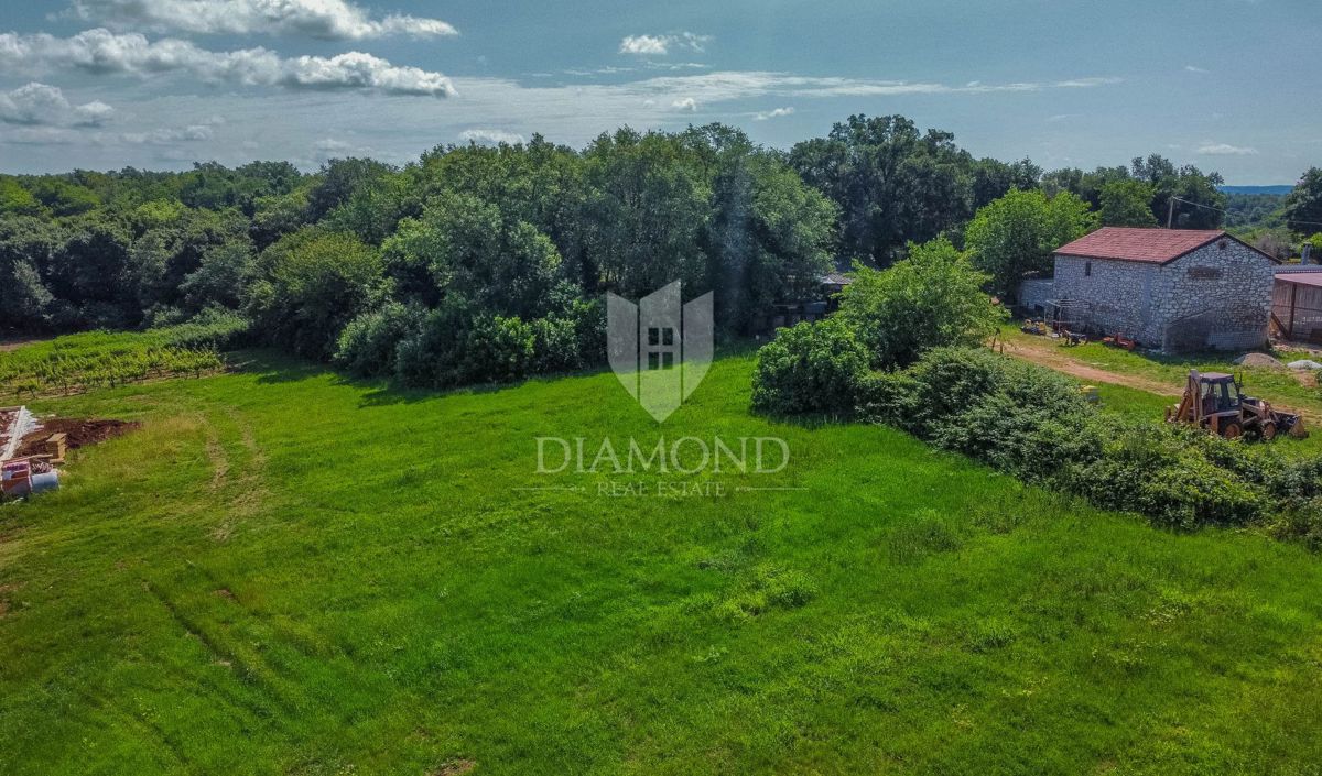 Verteneglio, dintorni, terreno edificabile di 619 m2 in un villaggio tranquillo