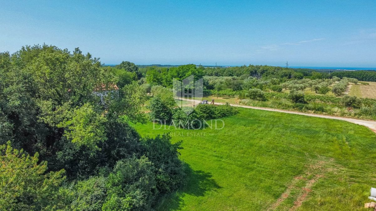 Verteneglio, dintorni, terreno edificabile di 619 m2 in un villaggio tranquillo