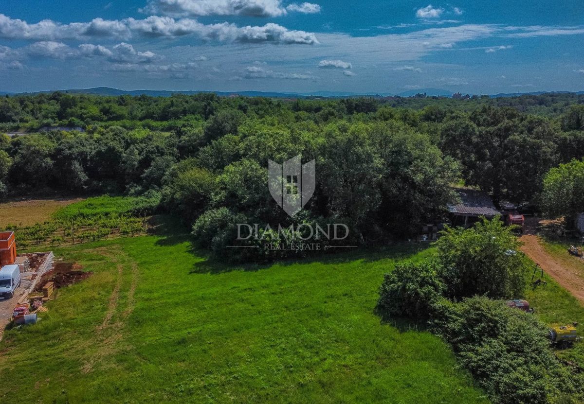 Verteneglio, dintorni, terreno edificabile di 619 m2 in un villaggio tranquillo