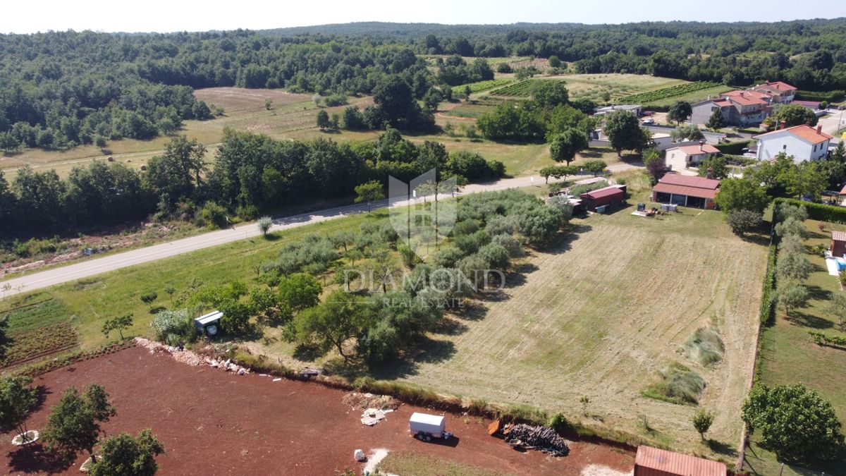 Proprietà con ampio terreno edificabile, Barban, dintorni