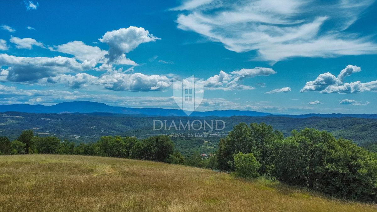 Istria centrale, terreno 3.874 m² con licenza edilizia!
