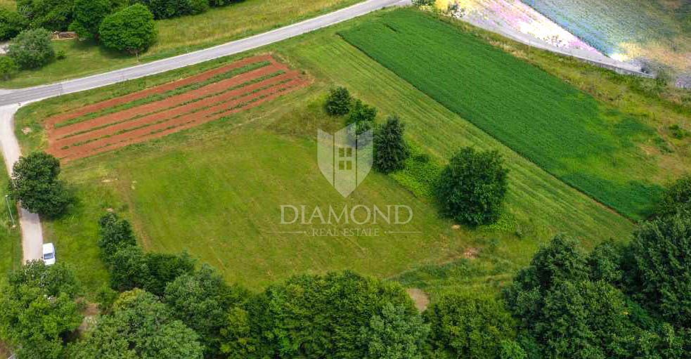 Pisino, terreno per scopi commerciali e industriali