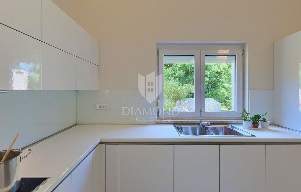 Labin, dintorni – villa con piscina e totale privacy