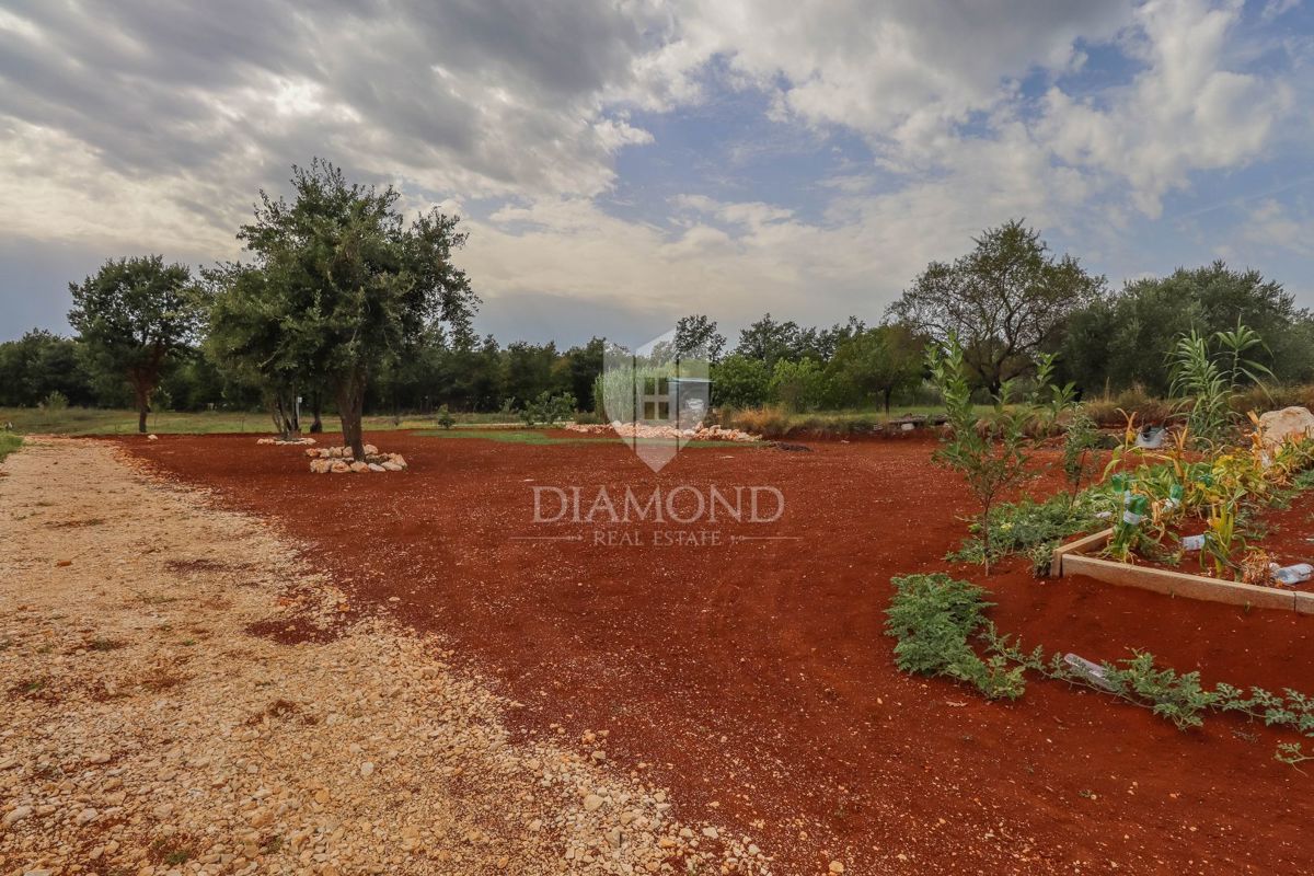 Barban, dintorni, terreno con progetto per oasi familiare