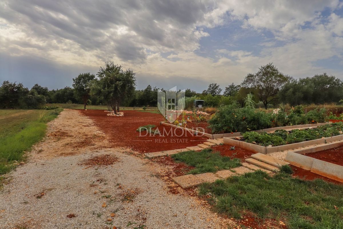 Barban, dintorni, terreno con progetto per oasi familiare