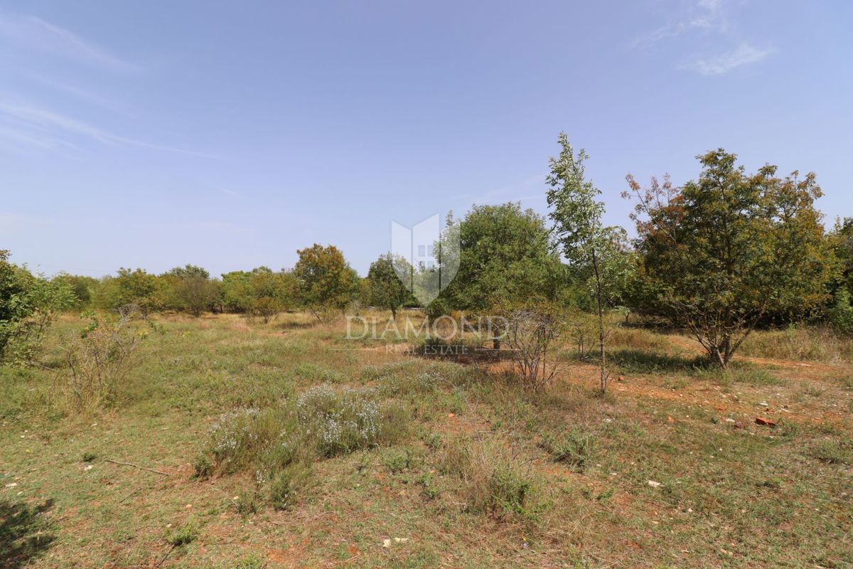 Svetvinčenat, ottimo terreno edificabile!