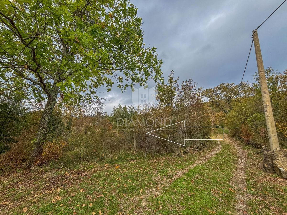 Motovun, proprietà con grande potenziale di sviluppo!