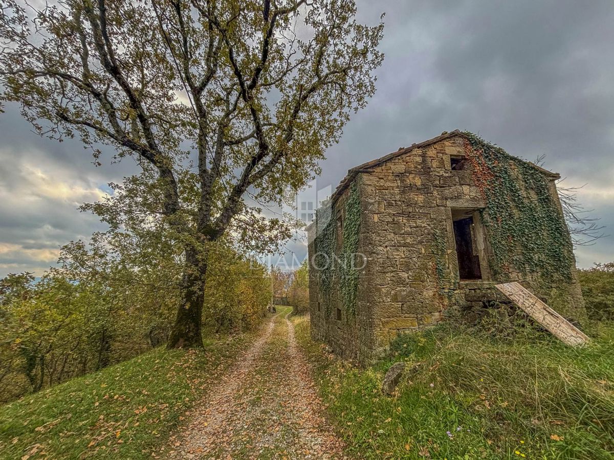 Motovun, proprietà con grande potenziale di sviluppo!