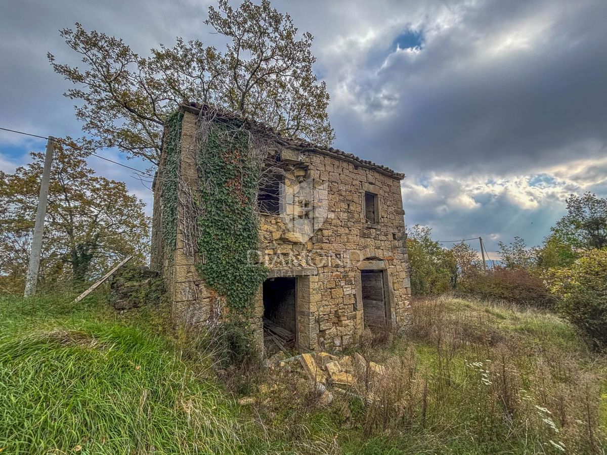 Motovun, proprietà con grande potenziale di sviluppo!