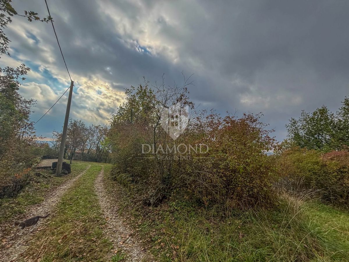 Motovun, proprietà con grande potenziale di sviluppo!