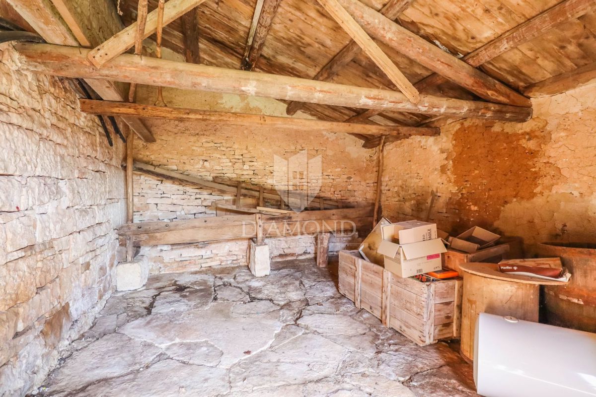 Canfanaro, dintorni, autentico casale con ampio giardino